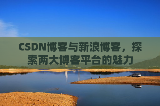 CSDN博客与新浪博客,探索两大博客平台的魅力